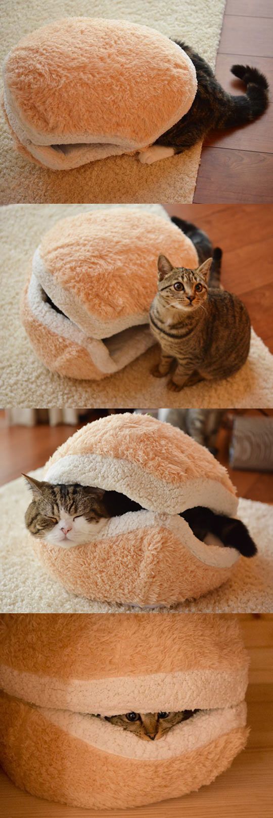 cute cat sammich bed